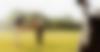 GOLF-adultes-cours-2500_0000s_0001_jeune-sportif-pratiquant-le-golf-avec-son-professeur