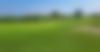 GOLF-terrains2025-2500_0000s_0001_e25848d4-0a0f-4f20-8cdf-50972029493f