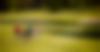 GOLF-week-end-decouverte-2025-2500