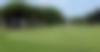 golf trous_0001_F6 